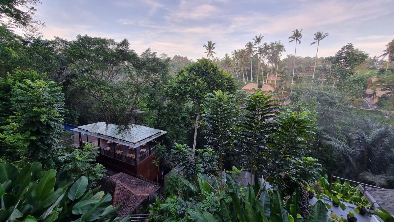The Sebali Resort 우붓 외부 사진 View of the house from the top of the hill