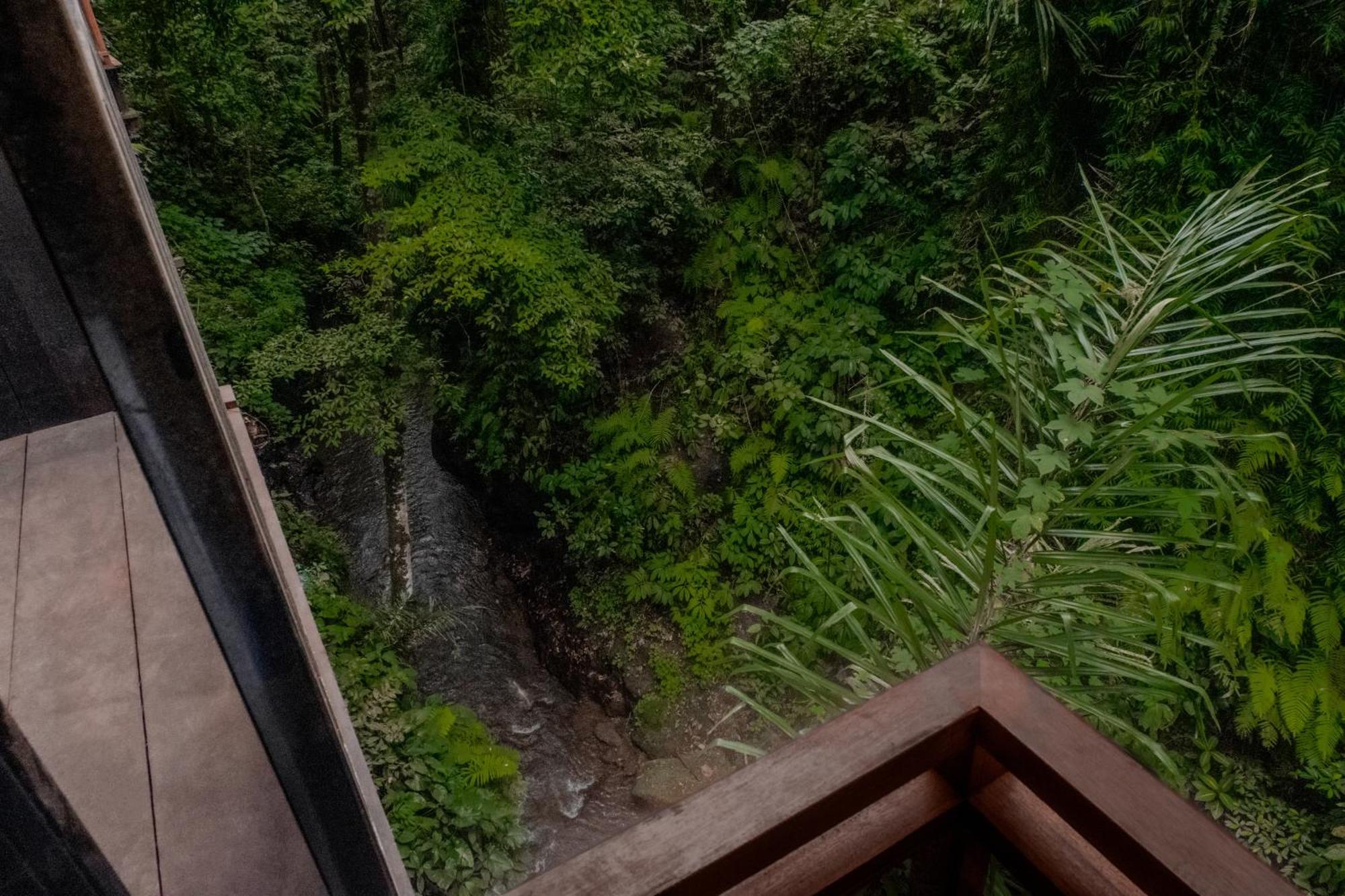 The Sebali Resort 우붓 외부 사진 The view from the observation deck